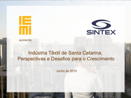Indústria Têxtil de Santa Catarina, Perspectivas e Desafios