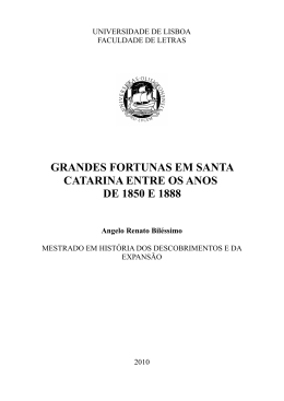 grandes fortunas em santa catarina entre os anos de 1850 e 1888
