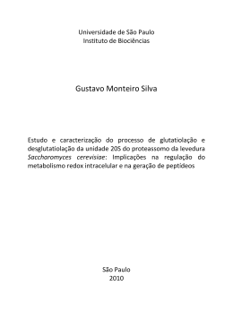 Gustavo Monteiro Silva
