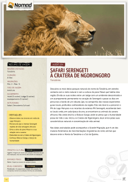 Safari Serengueti