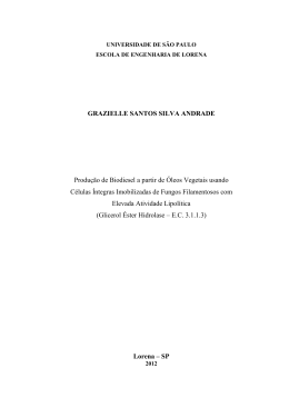 GRAZIELLE SANTOS SILVA ANDRADE Produ&ccedil;&atilde;o de Biodiesel a