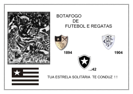 Jogadores por ano - Loja Botafogo JF
