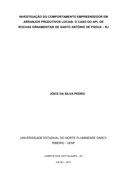 investiga&ccedil;&atilde;o do comportamento empreendedor em arranjos