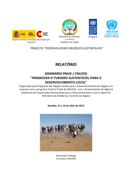 CNUCED-PNUD Relat&oacute;rio Semin&aacute;rio Turismo