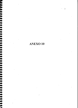 Anexo 10