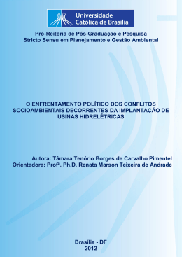O enfrentamento pol&iacute;tico dos conflitos socioambientais