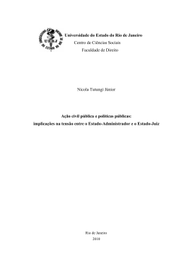 A&ccedil;&atilde;o civil p&uacute;blica e pol&iacute;ticas p&uacute;blicas