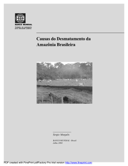 Desmatamento da Amaz&ocirc;nia