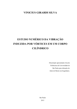vinicius girardi silva estudo num&eacute;rico da vibra&ccedil;&atilde;o induzida por