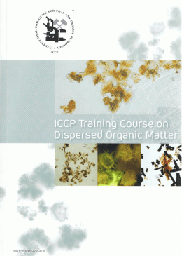 Duarte et al 2011 Curso ICCP 2011