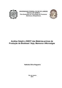 Disserta&ccedil;&atilde;o - Nathalia Silva Nogueira - TPQB