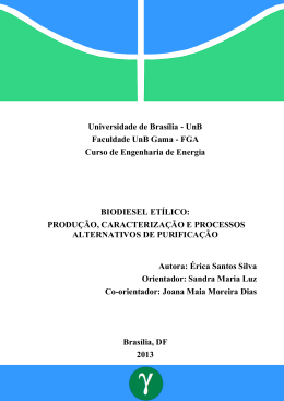 Gui&atilde;o de Relat&oacute;rio de Projecto / Est&aacute;gio - BDM