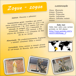 Saiba mais Saiba mais sobre esse curioso primata no link abaixo