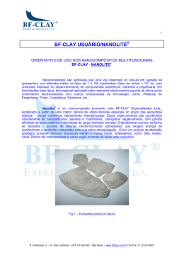 BF-CLAY USUÁRIO/NANOLITE - BF