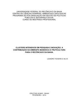Dissertação Mestrado Leandro Teixeira e Silva
