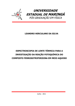 Dissertação de Mestrado UEM 2011- correção - pfi