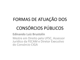 formas_de_atuacao_dos_consorcios_edinando