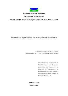 Proteínas de superfície de Paracoccidioides brasiliensis