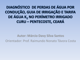 Autor: Márcio Davy Silva Santos Orientador: Prof. Raimundo Nonato