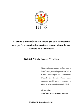 &ldquo;Estudo da influ&ecirc;ncia da intera&ccedil;&atilde;o solo