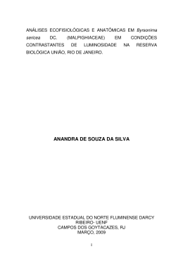 ANANDRA DE SOUZA DA SILVA