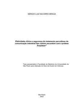 S&Eacute;RGIO LUIZ NAVARRO BRAGA - Biblioteca Digital de Teses e