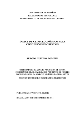 &iacute;ndice de clima econ&ocirc;mico para concess&otilde;es florestais sergio luiz do