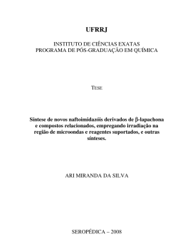INSTITUTO DE CI&Ecirc;NCIAS EXATAS PROGRAMA DE P&Oacute;S