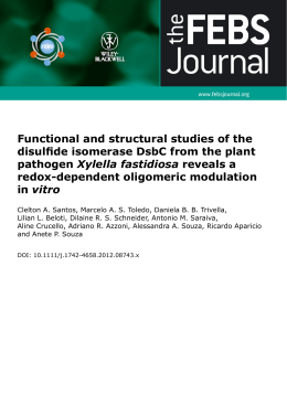 Functional and structural studies of the disulfide