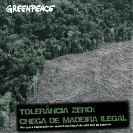 TOLERANCIA ZERO: CHEGA DE MADEIRA ILEGAL ^