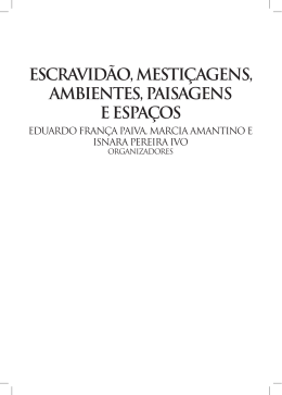 Arte colonial e mesti&ccedil;agens no Brasil setecentista