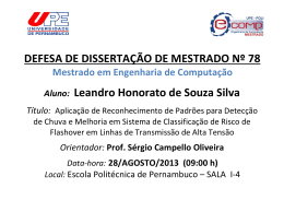 Leandro Honorato de S. Silva