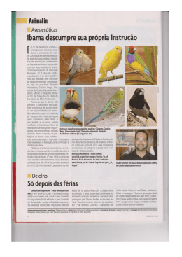 Ibama descumpre sua pr&oacute;pria Instru&ccedil;&atilde;o