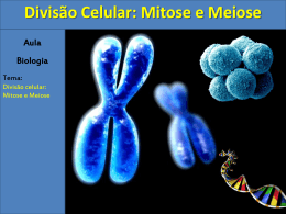 Divis&atilde;o Celular: Mitose e Meiose