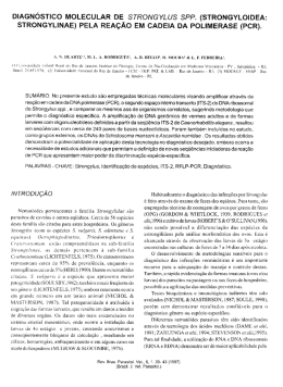 Completo (português)