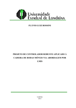 FL&Aacute;VIO LUIZ ROSSINI PROJETO DE CONTROLADOR