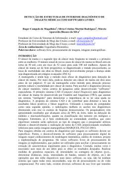 Roger Campelo de Magalh&atilde;es