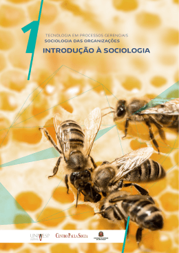introdu&ccedil;&atilde;o &agrave; sociologia