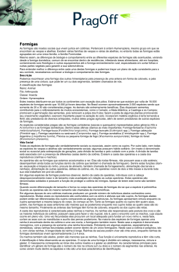 Formigas