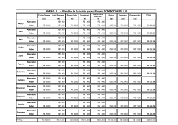 ANEXO I I   - Planilha de Subs&iacute;dio para o Projeto DOMINGO A R$ 1,00