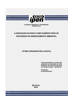 A PERCEP&Ccedil;&Atilde;O DE RISCO COMO SUBS&Iacute;DIO PARA OS