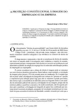 SILVA NETO, Manoel Jorge e. A prote&ccedil;&atilde;o constitucional &agrave;