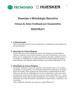 Descri&ccedil;&atilde;o e Metodologia Executiva