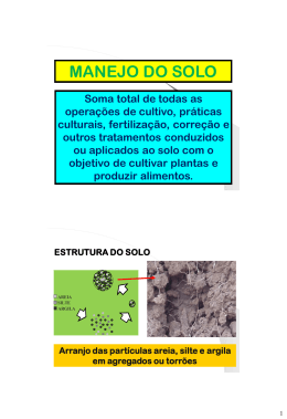 pr&aacute;ticas relacionadas ao manejo do solo