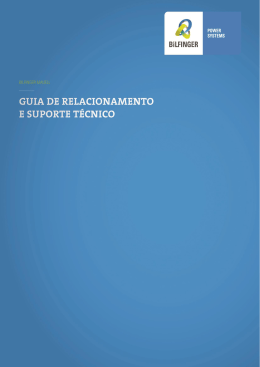 Guia de Suporte T&eacute;cnico