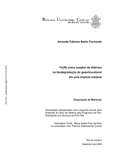 Amanda Fabiana Bai&atilde;o Fernando Fe(III) como aceptor de