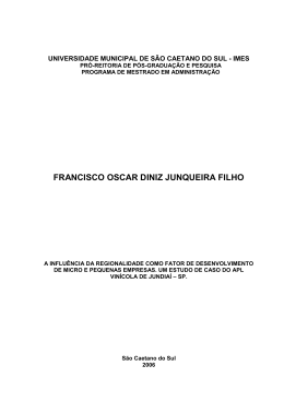 Disserta&ccedil;&atilde;o