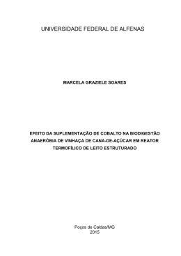 Disserta&ccedil;&atilde;o - Unifal-MG