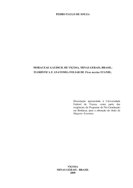 FLOR&Iacute;STICA E ANATOMIA FOLIAR DE Ficus mexiae STANDL
