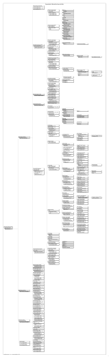 Descendants of Bernardino Soares da Silva